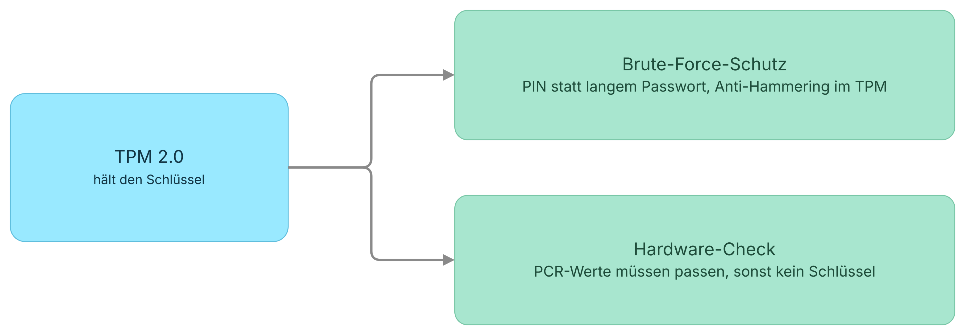 Beide Eigenschaften kommen vom TPM: Brute-Force-Schutz durch die PIN mit Anti-Hammering, und der Hardware-Check über die PCR-Werte